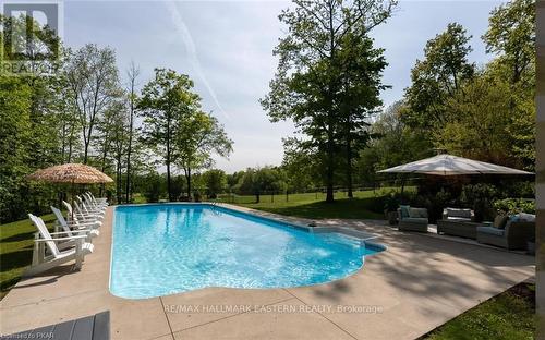 229 Skinkle Road, Trent Hills, ON - Outdoor With In Ground Pool With Backyard