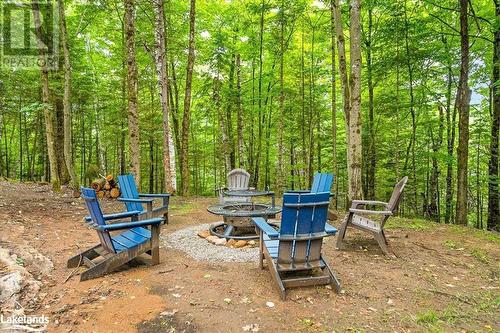 1315 North Drive, Haliburton, ON - Outdoor With View