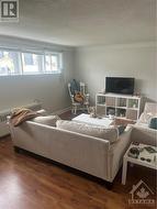 Apt 1 living - 