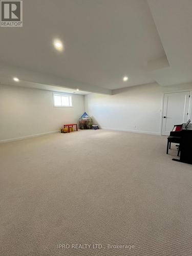 13708 County 15 Road, Merrickville-Wolford, ON - Indoor Photo Showing Basement