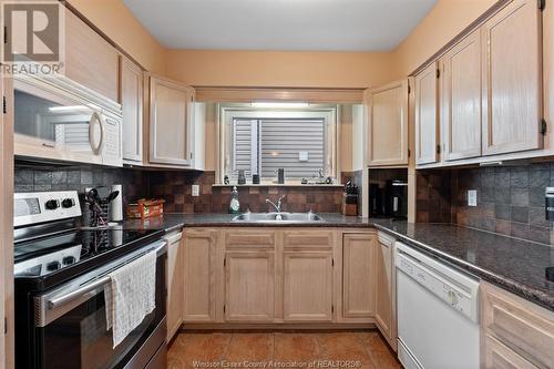 419 Lakeside, Amherstburg, ON - Indoor Photo Showing Kitchen With Double Sink