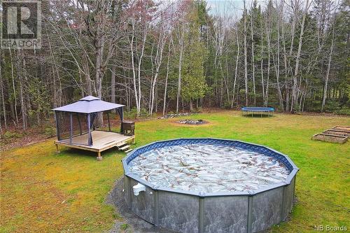 166 Cameron Drive, Burton, NB - Outdoor With Above Ground Pool With Backyard