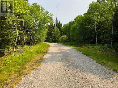 388 Fundy Drive, Wilsons Beach, NB - Outdoor With View