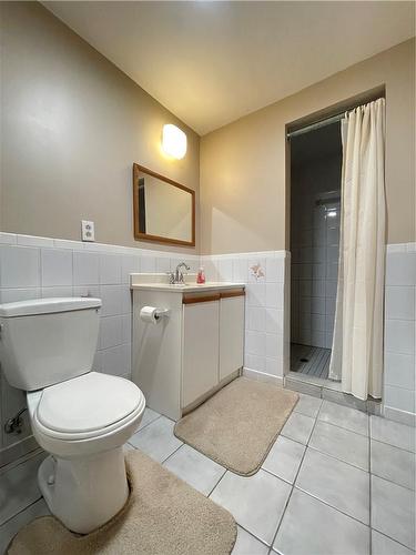 Basement - bathroom with shower - 407 Melanie Crescent, Ancaster, ON - Indoor Photo Showing Bathroom