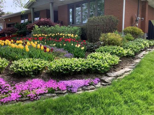 Manicured plantings in front yard - simply enjoy each Spring. - 28 Sunset Drive, Simcoe, ON - Outdoor