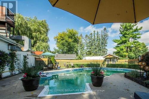 8087 Country Rd 2, Greater Napanee, ON - Outdoor With In Ground Pool