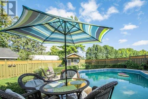 8087 Country Rd 2, Greater Napanee, ON - Outdoor With In Ground Pool With Deck Patio Veranda With Backyard