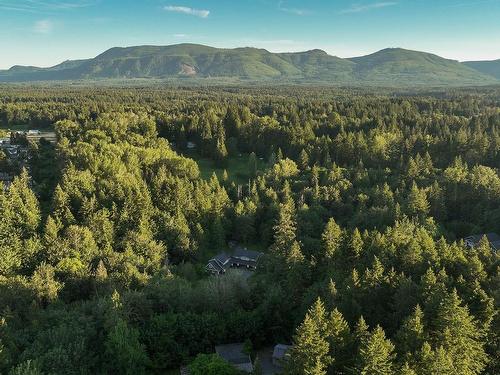5919 Cassino Rd, Duncan, BC - Outdoor With View