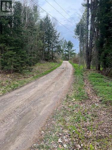 Lot  21 Unopened Road Allowance, Gravenhurst, ON 