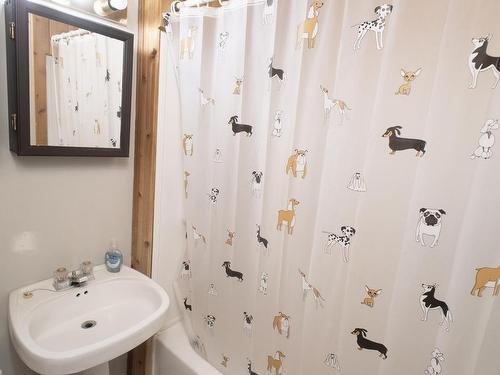1108 Gore Street W, Thunder Bay, ON - Indoor Photo Showing Bathroom
