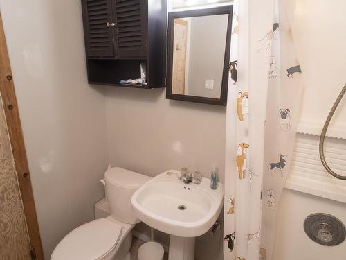 1108 Gore Street W, Thunder Bay, ON - Indoor Photo Showing Bathroom