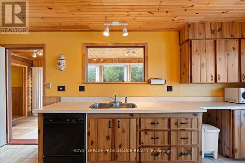 1039A Tyeard Bay Lane, Central Frontenac, ON - Indoor Photo Showing Kitchen With Double Sink
