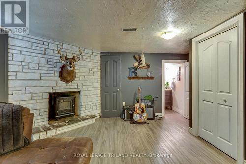352 Helen Drive, Strathroy-Caradoc, ON - Indoor With Fireplace