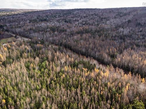 38 Acres Southside River Denys Rd, Valley Mills, NS 