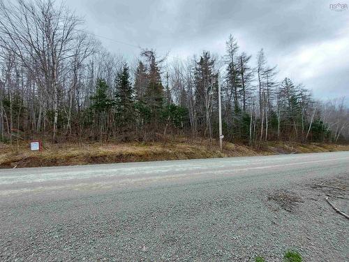 38 Acres Southside River Denys Rd, Valley Mills, NS 