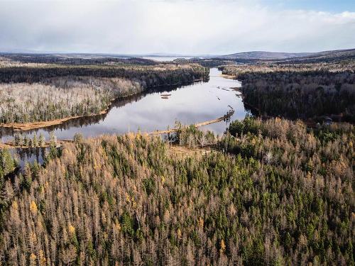 38 Acres Southside River Denys Rd, Valley Mills, NS 