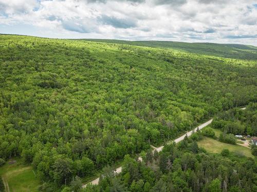 38 Acres Southside River Denys Rd, Valley Mills, NS 