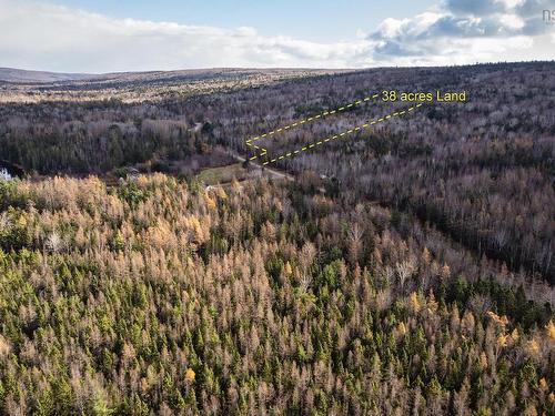 38 Acres Southside River Denys Rd, Valley Mills, NS 