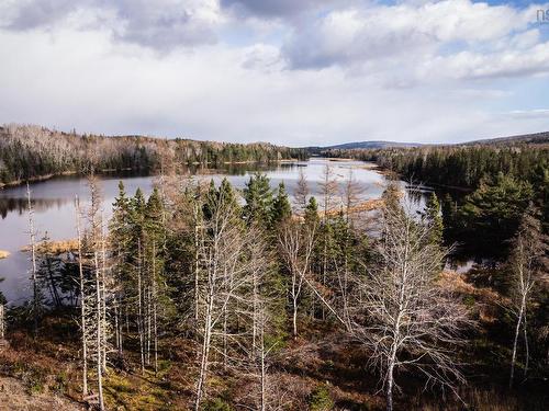 38 Acres Southside River Denys Rd, Valley Mills, NS 