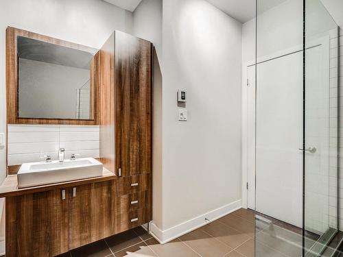 Salle de bains - 217-460 19E Avenue, Montréal (Lachine), QC - Indoor Photo Showing Bathroom
