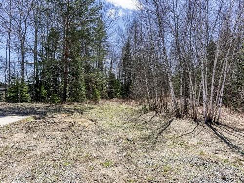 Land/Lot - 100 Route 153, Hérouxville, QC - Outdoor With View