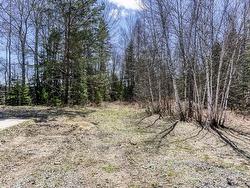 Land/Lot - 