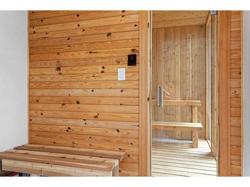 Sauna - 40 Ch. Des Catalpas, La Conception, QC - Indoor Photo Showing Other Room