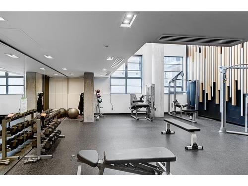Salle d'exercice - 412-1320 Rue Olier, Montréal (Le Sud-Ouest), QC - Indoor Photo Showing Gym Room