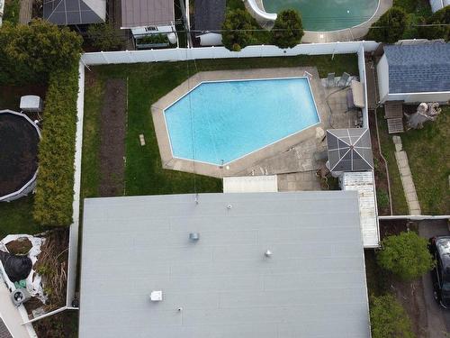 Pool - 2582 Rue D'Oxford, Longueuil (Le Vieux-Longueuil), QC - Outdoor With In Ground Pool