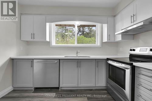 66 Weston Street, London, ON - Indoor Photo Showing Kitchen With Double Sink
