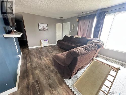 705 Katrusik Avenue, Bienfait, SK - Indoor Photo Showing Living Room