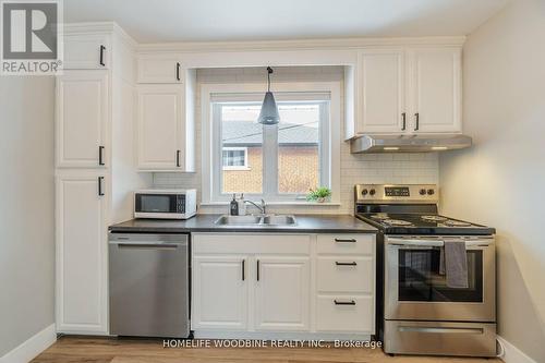 107 Winchester Boulevard, Hamilton, ON - Indoor Photo Showing Kitchen With Stainless Steel Kitchen With Double Sink