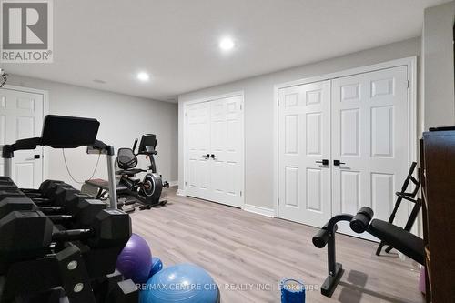 242 East Rivertrace Walk, London, ON - Indoor Photo Showing Gym Room