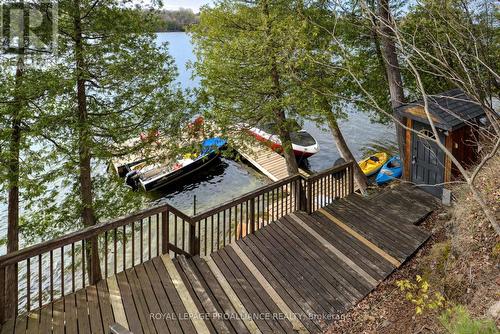 11 Porcupine Island, South Frontenac, ON - Outdoor