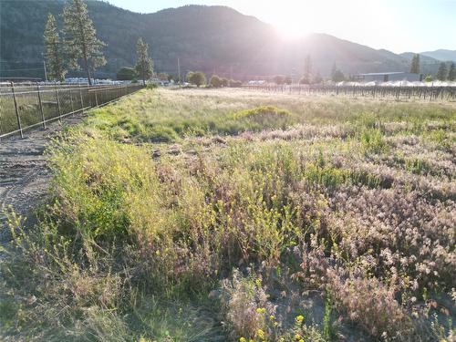 1631 Maple Street, Okanagan Falls, BC - Outdoor With View