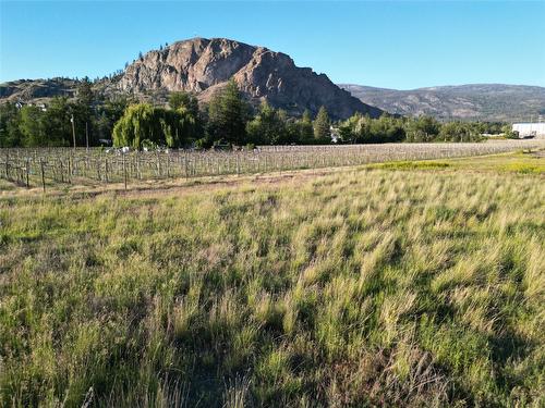 1631 Maple Street, Okanagan Falls, BC - Outdoor With View