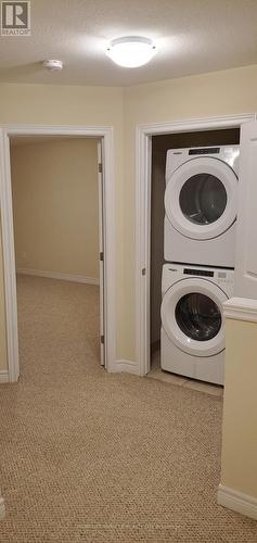 131 - 77 Diana Avenue, Brantford, ON - Indoor Photo Showing Laundry Room
