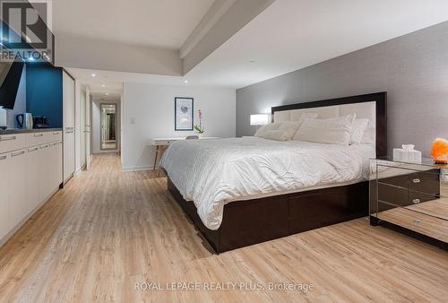 117 - 55 Stewart Street, Toronto, ON - Indoor Photo Showing Bedroom