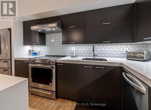 117 - 55 Stewart Street, Toronto, ON - Indoor Photo Showing Kitchen With Stainless Steel Kitchen With Upgraded Kitchen