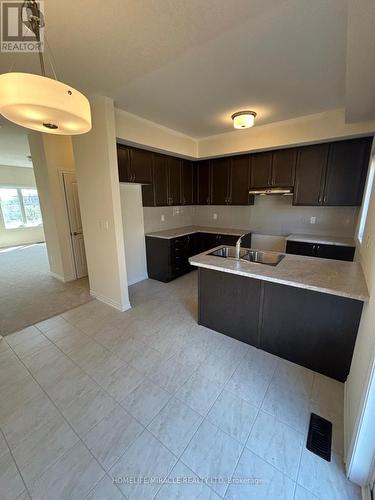 73 - 620 Colborne Street, Brantford, ON - Indoor Photo Showing Kitchen With Double Sink