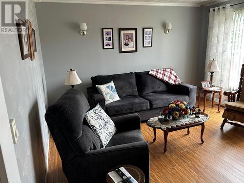 162 Main Road, Summerford, NL - Indoor Photo Showing Living Room