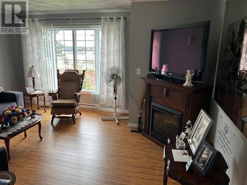 162 Main Road, Summerford, NL - Indoor Photo Showing Living Room With Fireplace