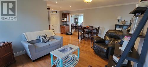 461 Creston Boulevard, Marystown, NL - Indoor Photo Showing Living Room