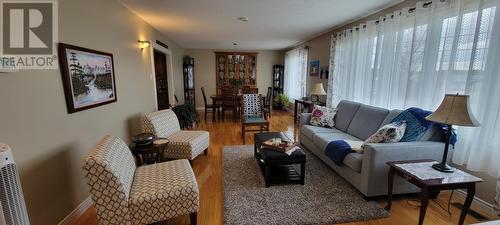 461 Creston Boulevard, Marystown, NL - Indoor Photo Showing Living Room