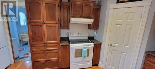 461 Creston Boulevard, Marystown, NL - Indoor Photo Showing Kitchen