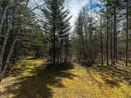 Lot Back Road, Lansdowne, NS 