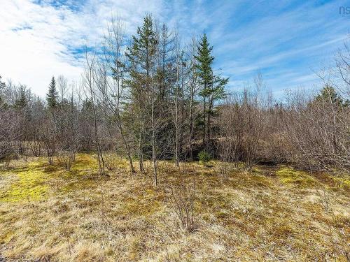 Lot Back Road, Lansdowne, NS 