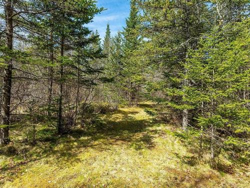 Lot Back Road, Lansdowne, NS 