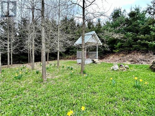 Enjoy the outdoors and evening campfires - 16771 Grant Road, Avonmore, ON - Outdoor