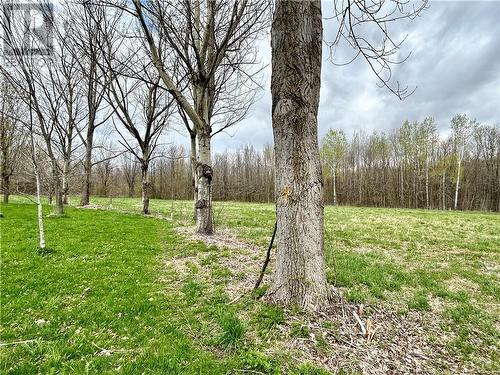 Room for pastures - 16771 Grant Road, Avonmore, ON - Outdoor With View